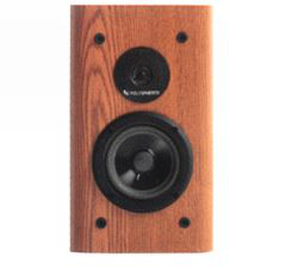 REFERENCE RS 1001 - Black - 2-Way 50 Watt Speaker - Hero